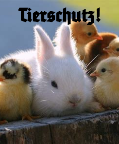 orthosophical's tweet image. ⚫ᛟ⚪ᛋ🔴

Everything we do, we do for them - if you oppose 'jews' and 'muslims', then you must defend animals!

orthosophy.substack.com/s/animal-defen…

#nationalism #socialism #BoycottIsrael #freepalestine #vegan #veganism #animals #animalwelfare #animalliberation #FreeSpeech #orthosophy