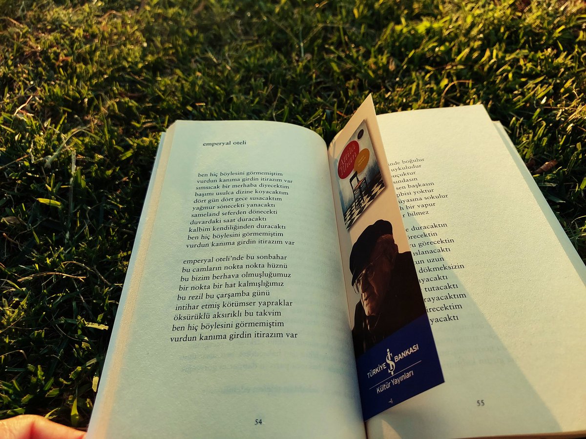 Melike Demirhan tweet media