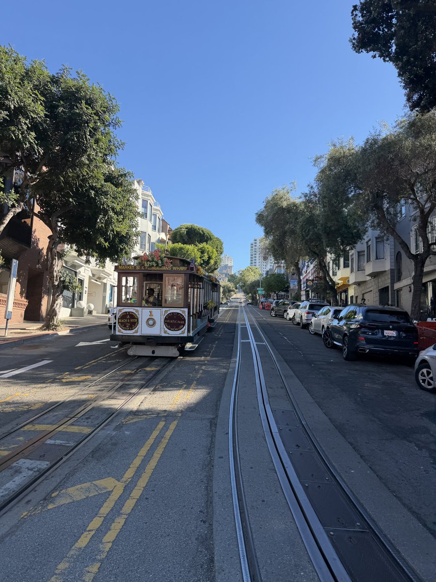 William Lindholm tweet media