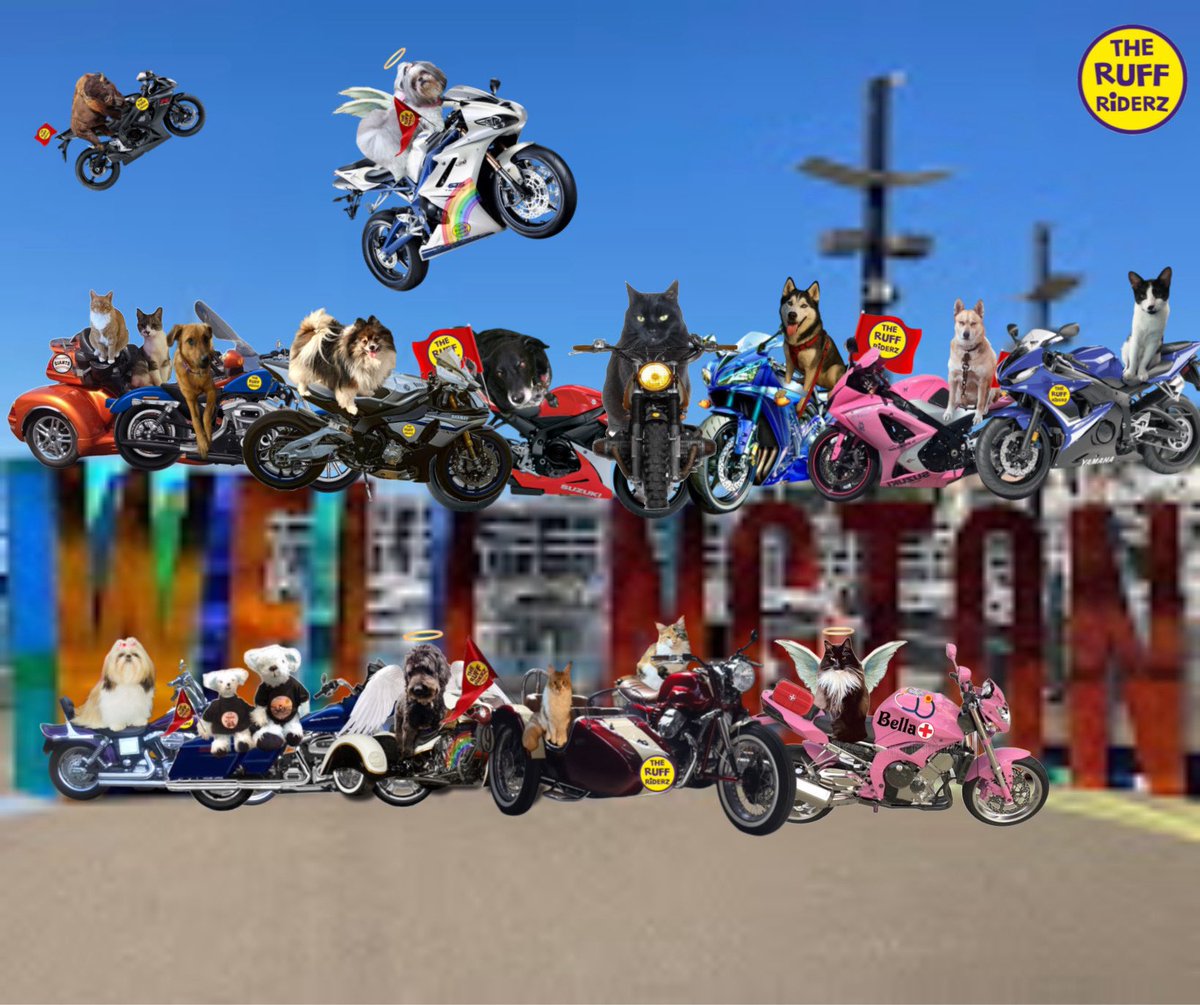 Colonel Pumpkin da Mookin, RIP all mine fwends 🌈. tweet media