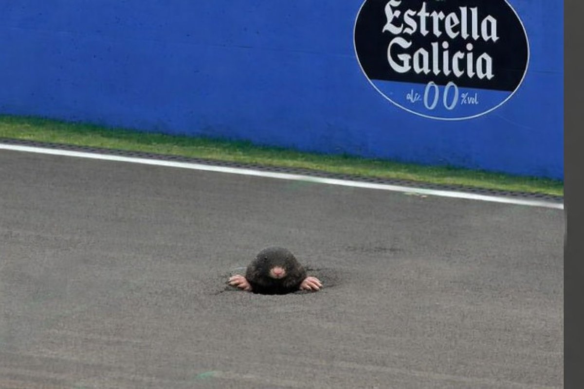 Greg Jedrzejewski tweet media