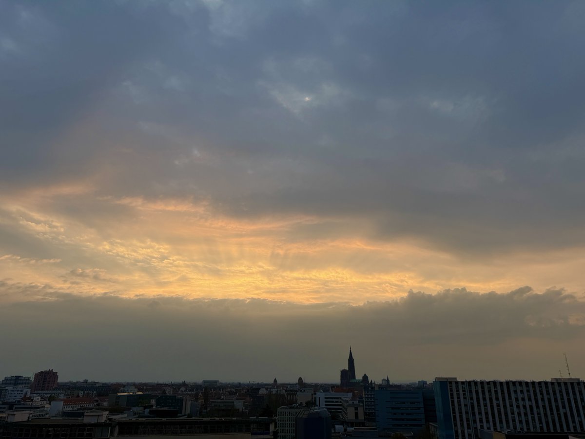 waltercolor tweet media