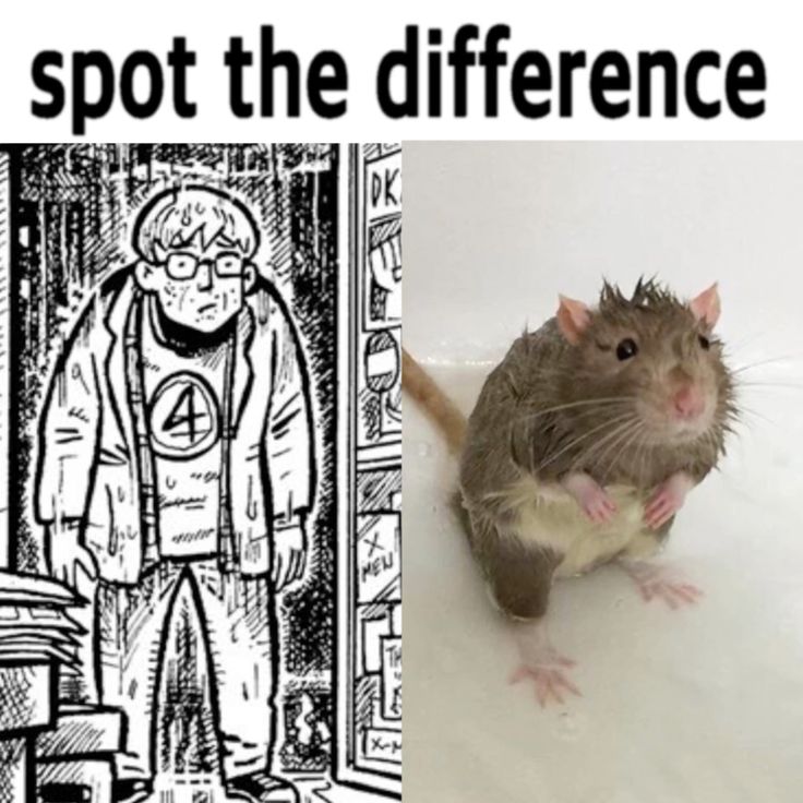 sopa⛅🍜 tweet media