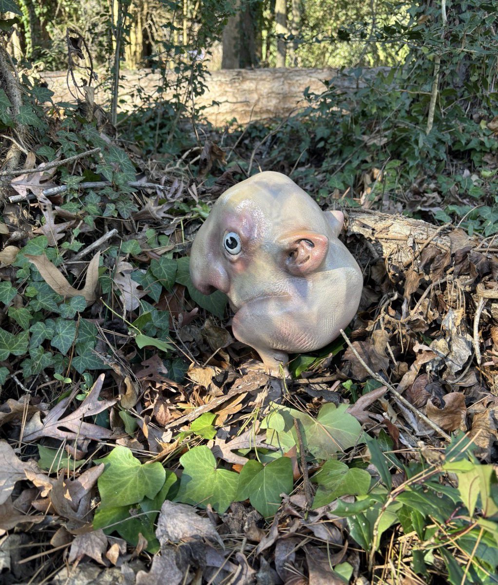 Greg the Sorcerer tweet media