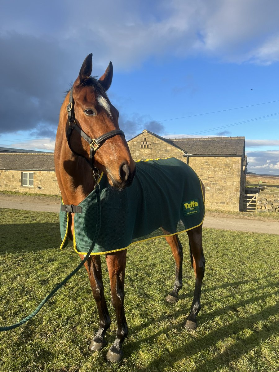 J Parkinson & S Smith Racing 🏇 tweet media