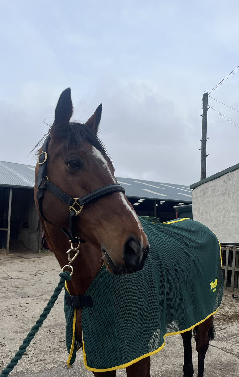 J Parkinson & S Smith Racing 🏇 tweet media