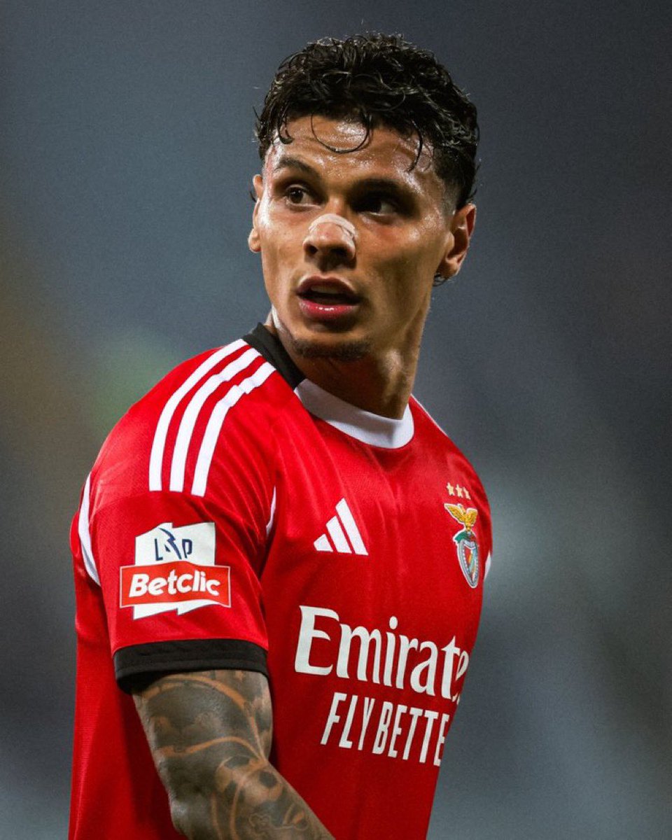 ๐ฏ๐๐๐๐บ๐ณ๐ฉ ๐ฆ
๐ฆ๐น tweet media