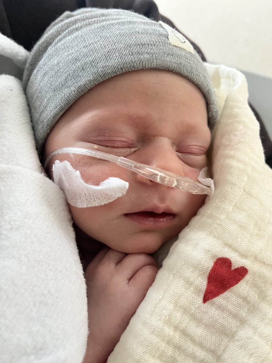 Bob Dijkgraaf tweet media