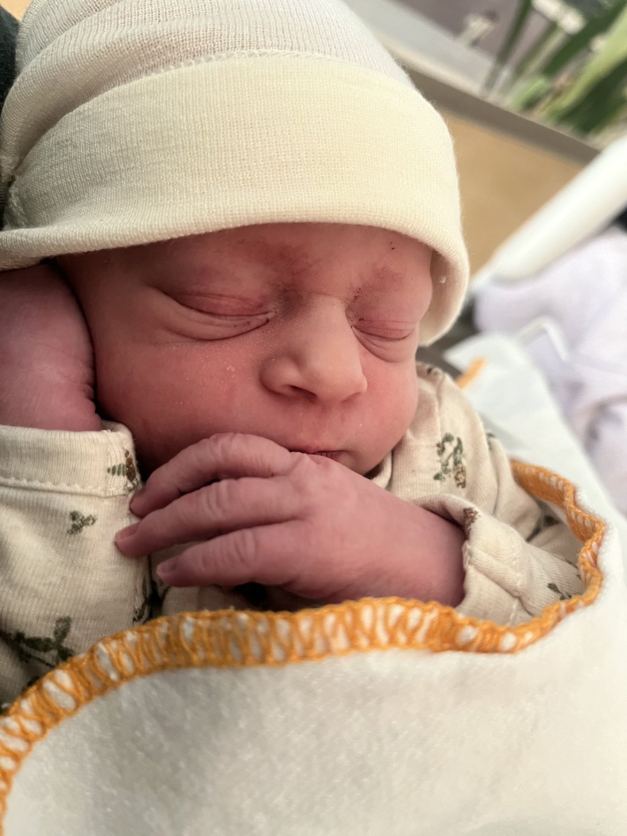 Bob Dijkgraaf tweet media