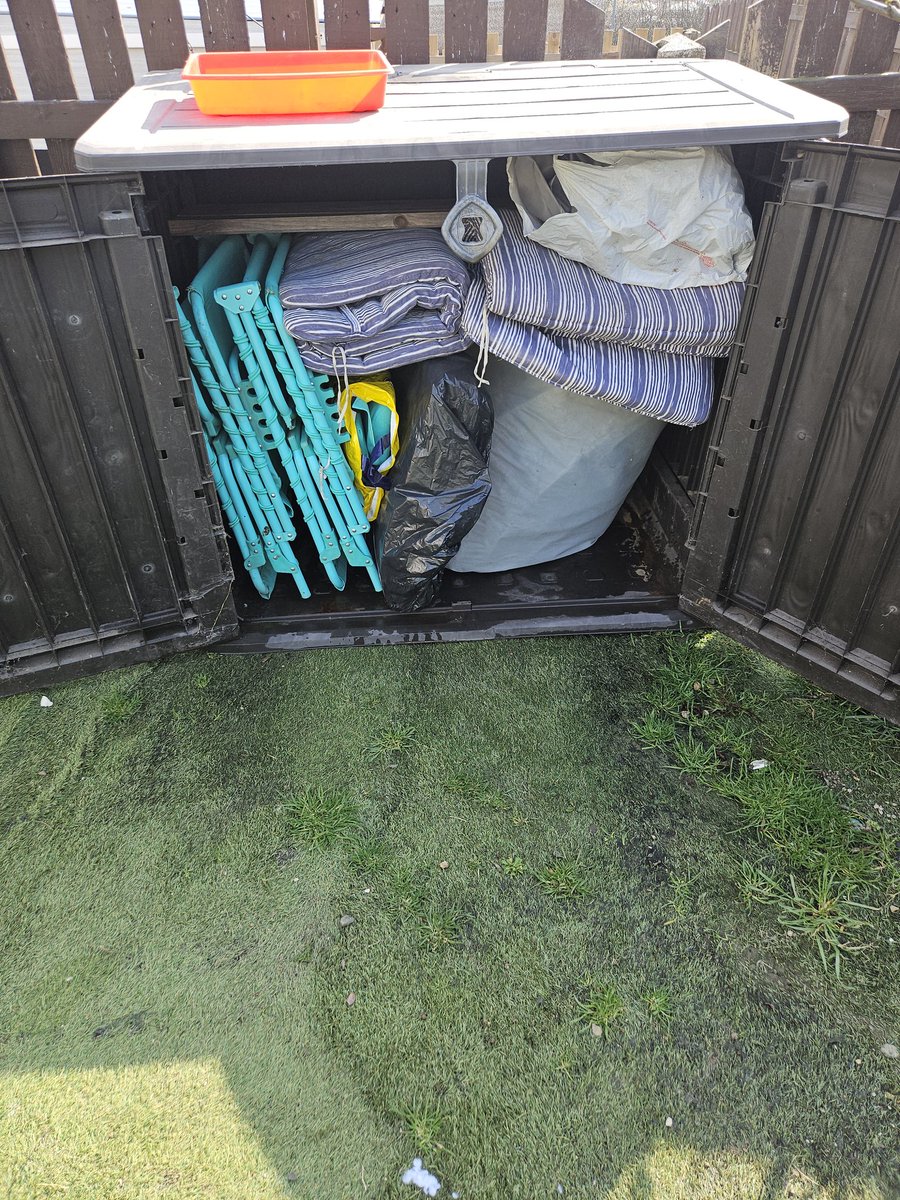 Cooper and Jasper whippet and lurcher tweet media