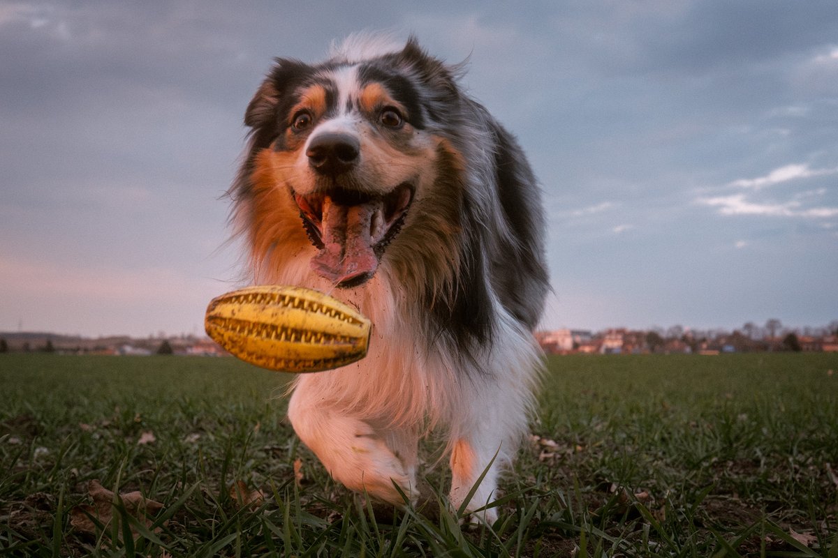 Tobby & A tweet media