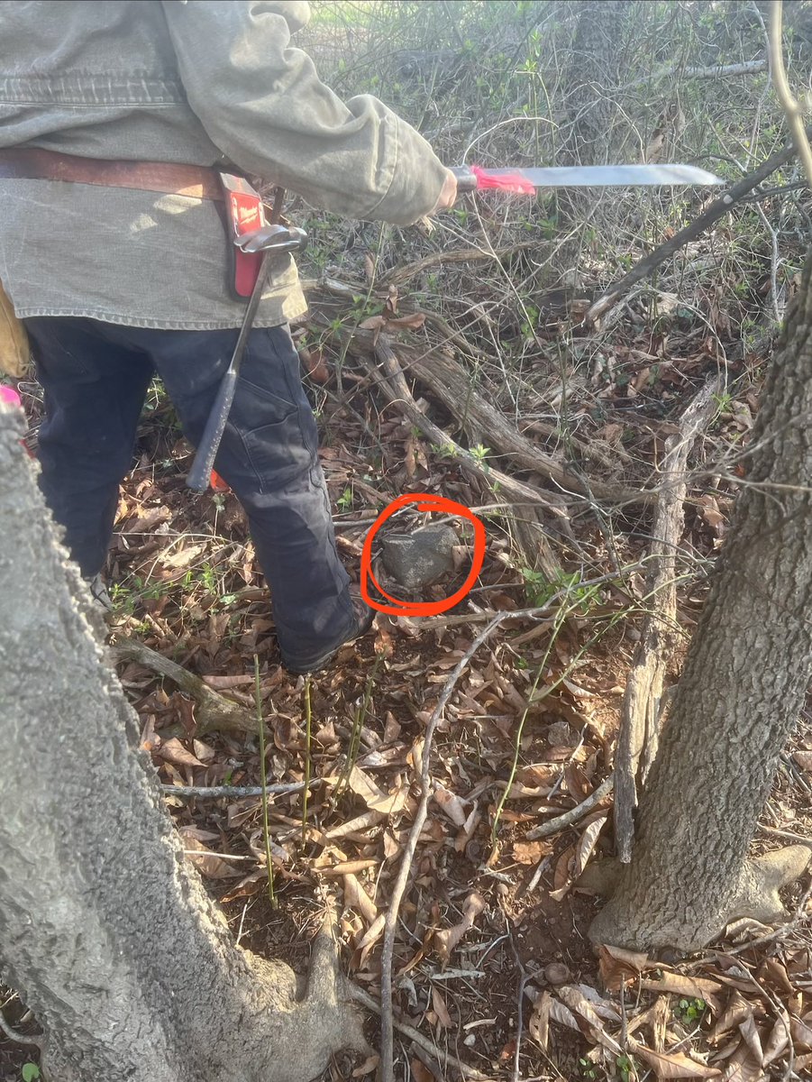 James Luther tweet media