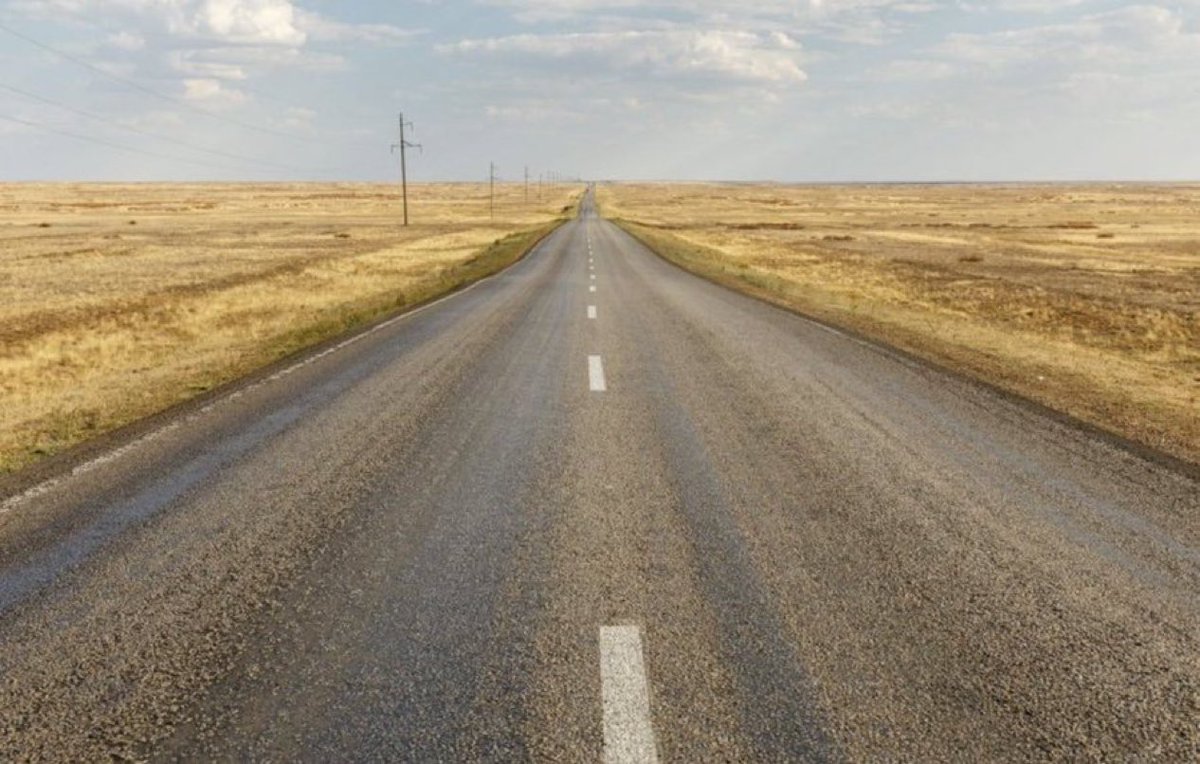 Made In Canada tweet media