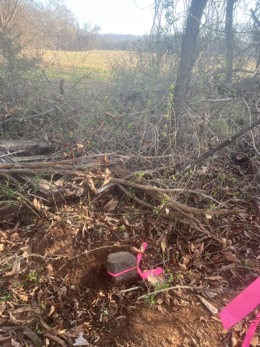 James Luther tweet media