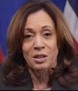 DJ Comeback tweet media