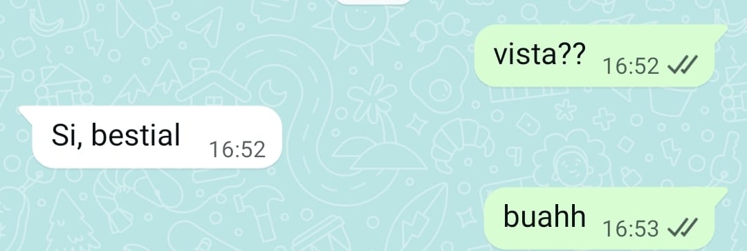 Tapi Carreras🏃🐗 tweet media