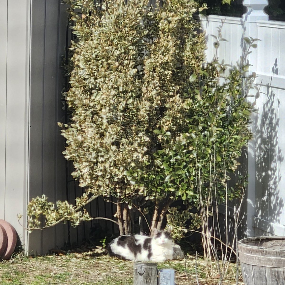 Grxmlin 👑🔞 tweet media