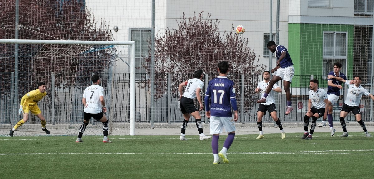 GuadalajaraDiario tweet media