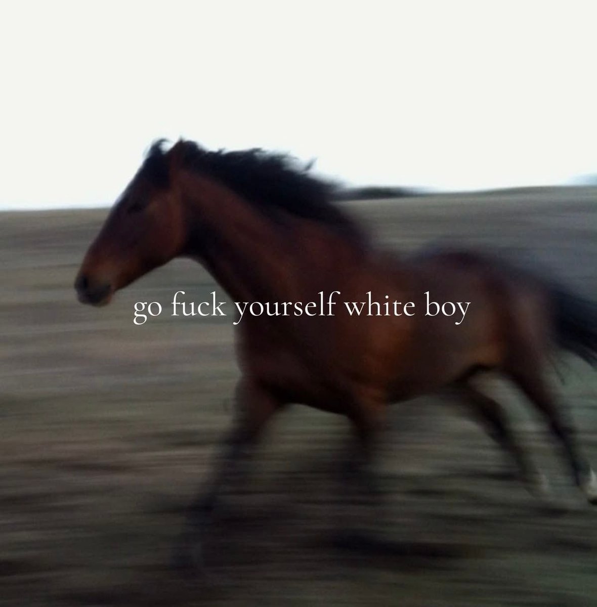 equine__dentist's tweet photo. white boy… https://t.co/z2zsKznYXm
