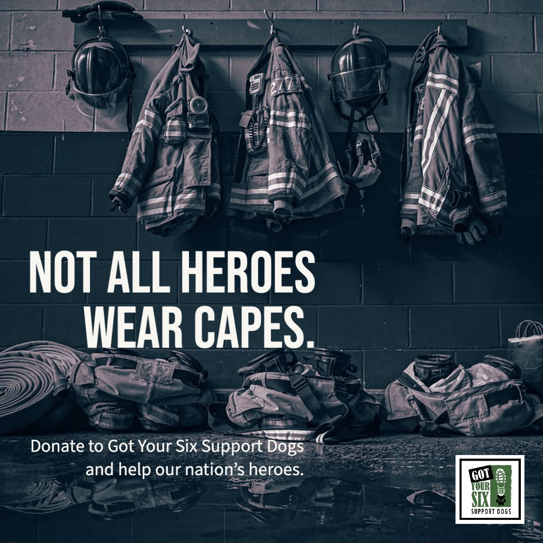 Got Your Six Dogs tweet media