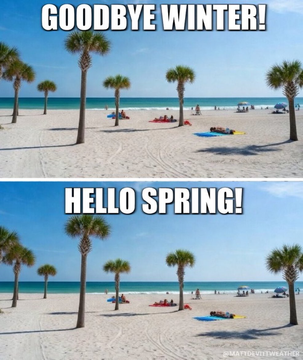 Anna Paulina Luna tweet media