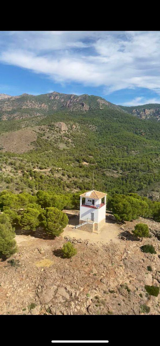 MURCIA FORESTAL tweet media