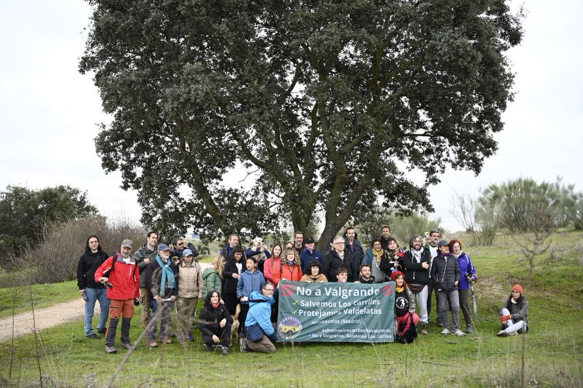 Más Madrid Verde 🌱 tweet media