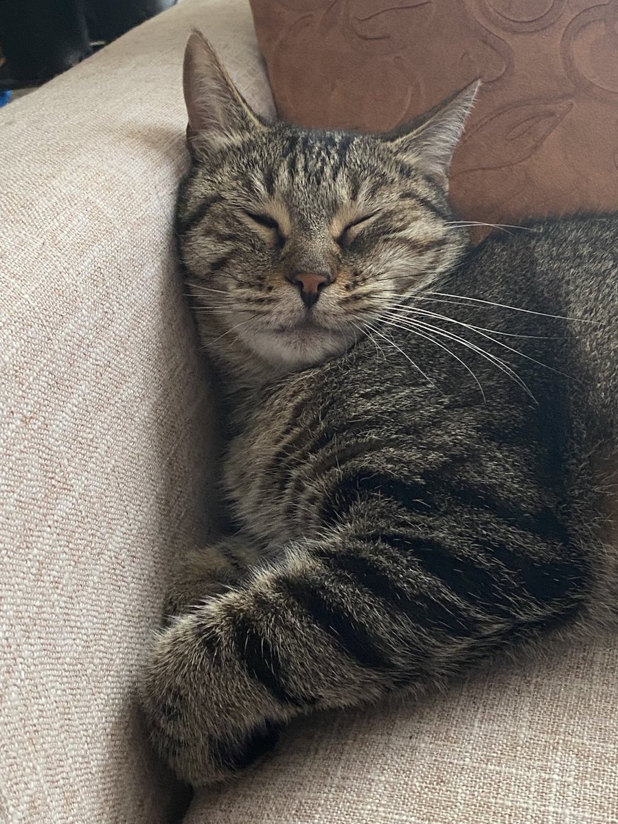 Paragone.eth tweet media