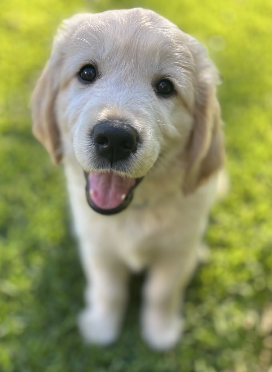 Arlo and Alfie from Oz tweet media