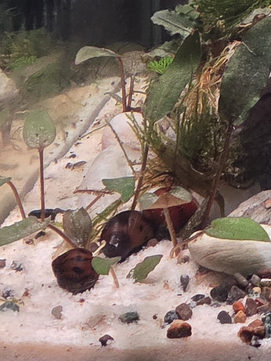 nuri 🤍 (jeno waist holder) tweet media