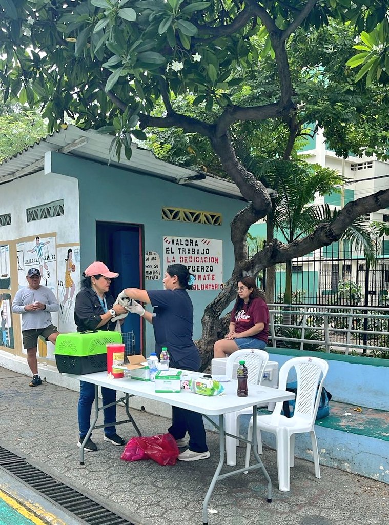 Parques EP tweet media