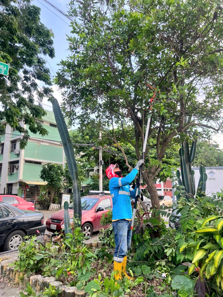 Parques EP tweet media