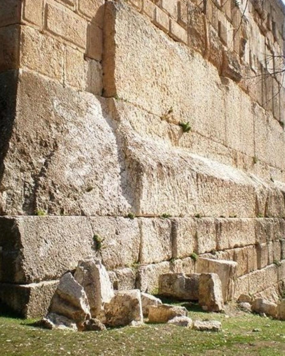 Hall of Records tweet media