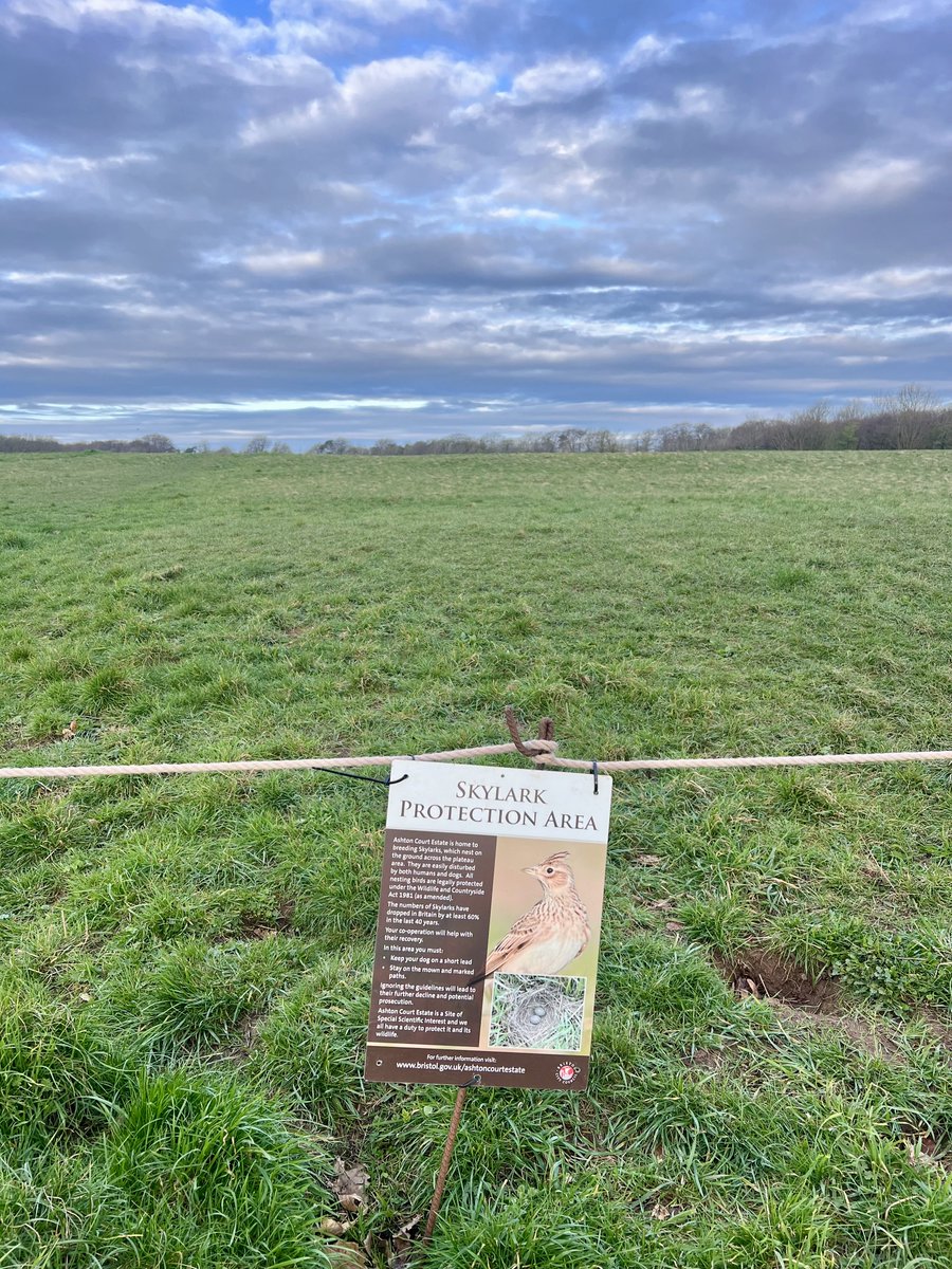 Mary Colwell tweet media