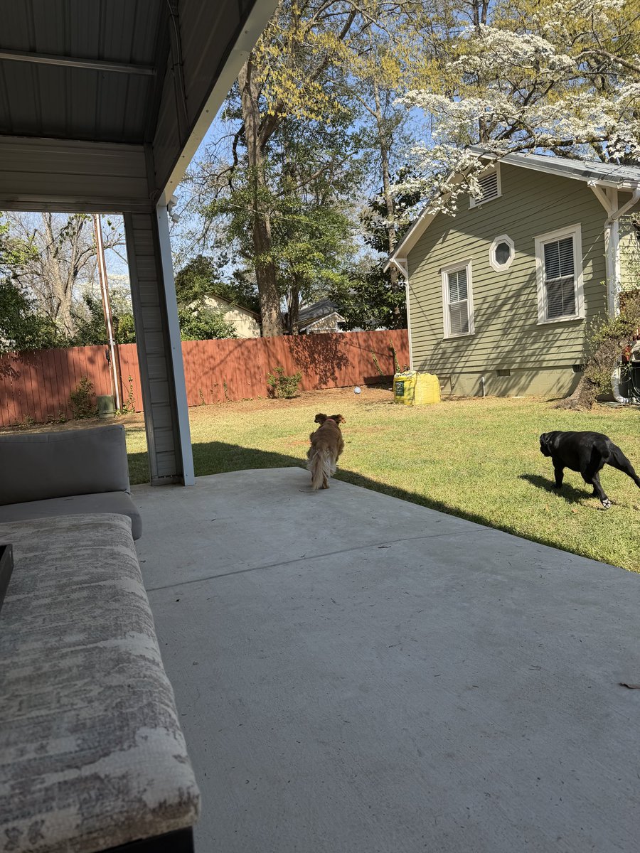 Jacksonville Bill tweet media