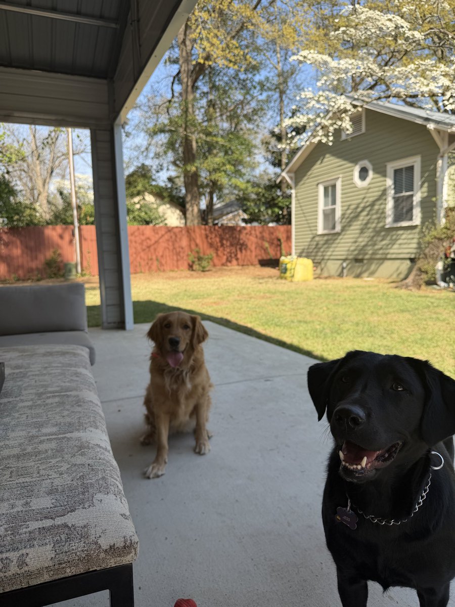 Jacksonville Bill tweet media