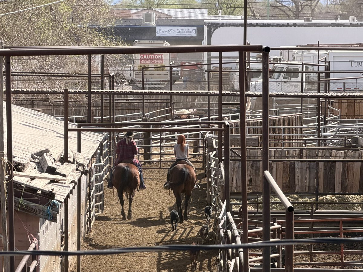 Vicky Richter🇩🇪🇺🇸🇧🇷🇬🇧 tweet media