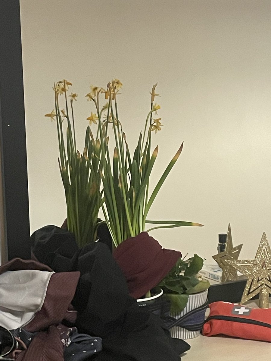 TPCAPITAL2's tweet photo. Have a great weekend 🌳🌳
#coffeebreak ☕️ & ‘Tiny Habits’
———————-
Weekend:
Series: ‘Black Bird’
Binged .. best.
—🌳—🌳— 🌳
2 degrees of change can result in a lifetime of difference…
—🌳
Movie: ‘Legend of Bagger Vance’
#PGA 
————🌳
Flashback: 
The Dodgers won the Series 2020?!!
———— ⚾️ 
Archer season 12: Binged .. best.
——-
RIP : J.Walters + C.Norris ♥️
‘Book of Chuck’ .. best ♥️