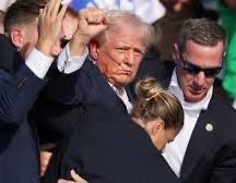 Sebastian Radoszewski 🇵🇱🇪🇺🇪🇸 tweet media