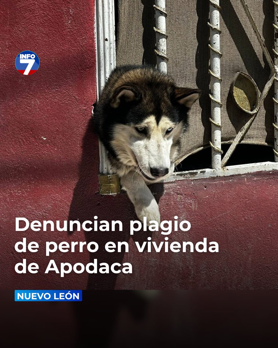 INFO7MTY tweet media