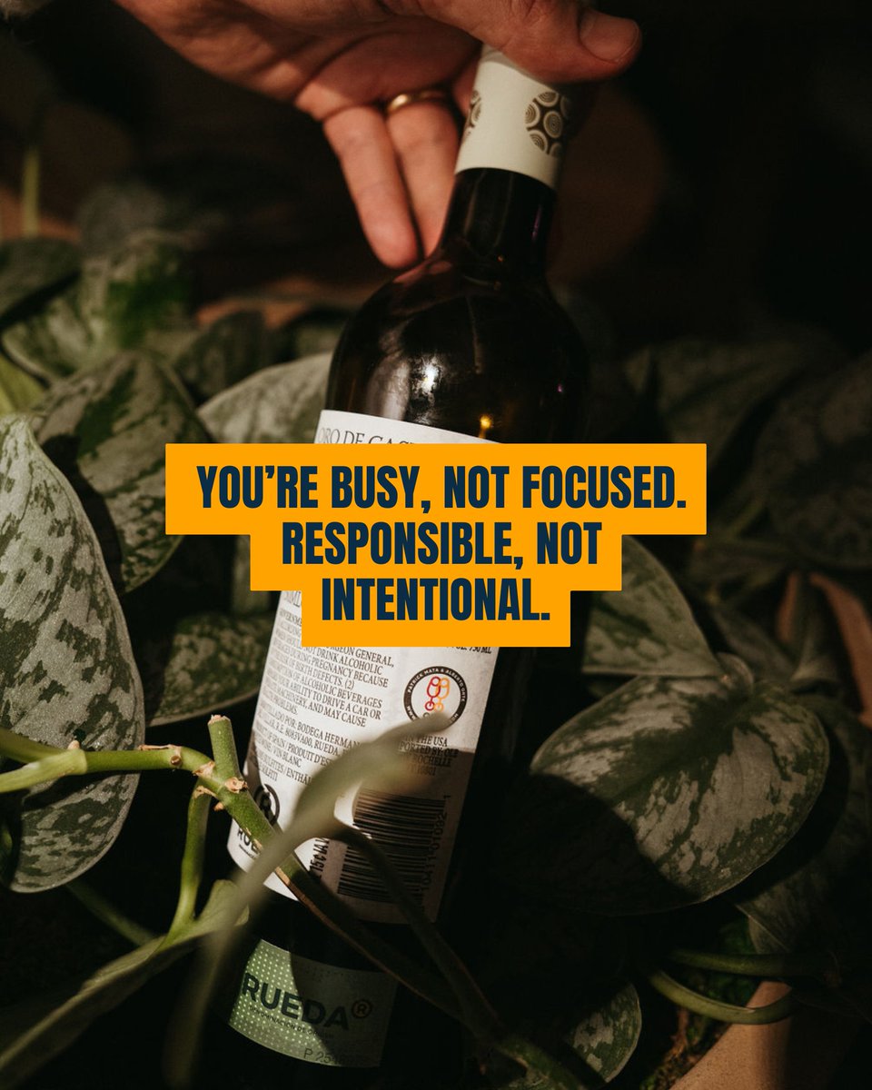 Taste Network | Brady Lowe tweet media