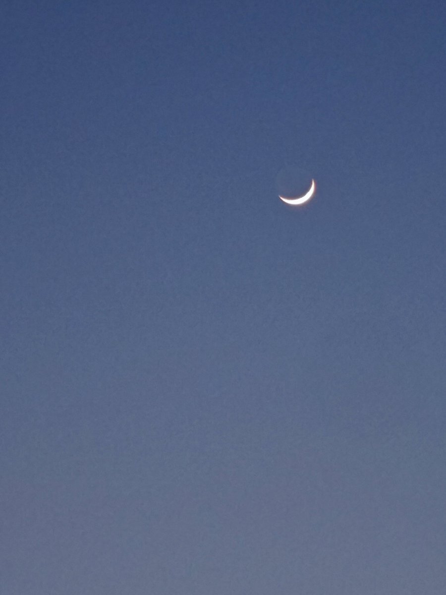 justin rowland tweet media