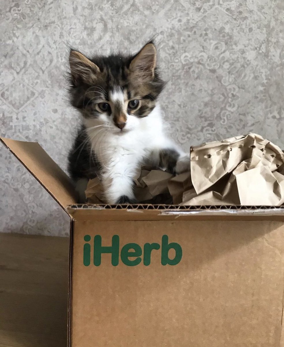 G r e e n 🌱 tweet media