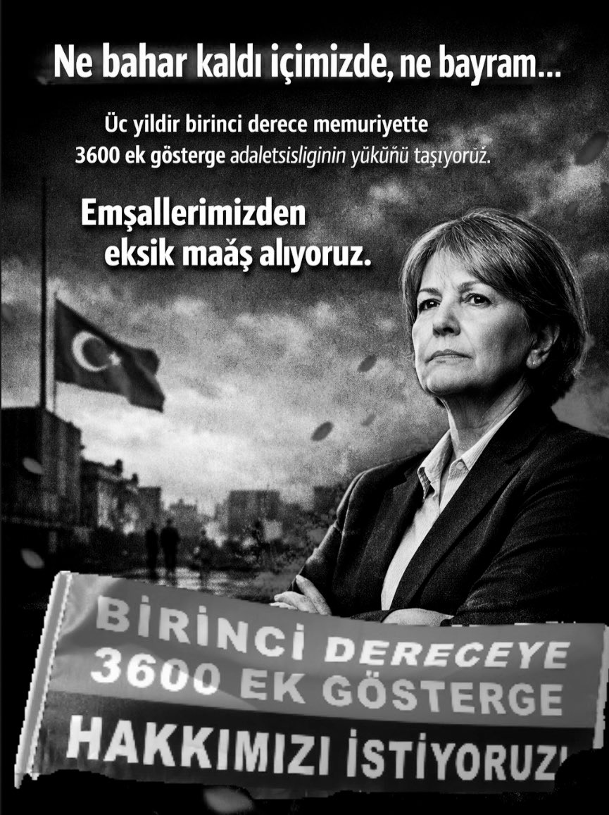 Zeynep Y. tweet media