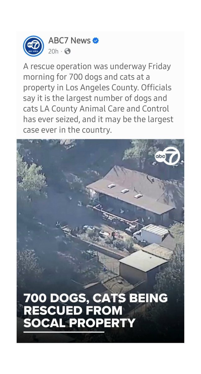 PUPEEZ's tweet photo. 😨

#petrescue #dogs #cats https://t.co/nmDM63Hy5o