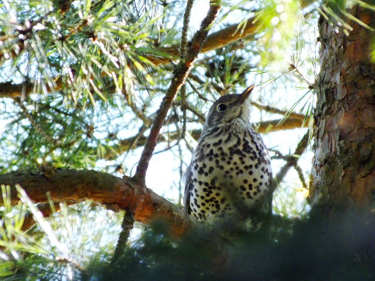 Di ✏️🇷🇺☦️ tweet media