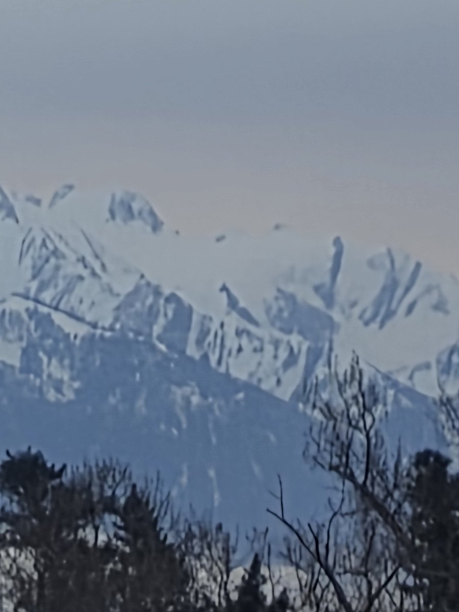 Neil Bishop tweet media