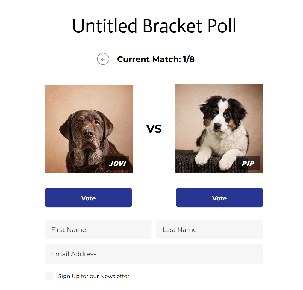 Fidos For Freedom tweet media