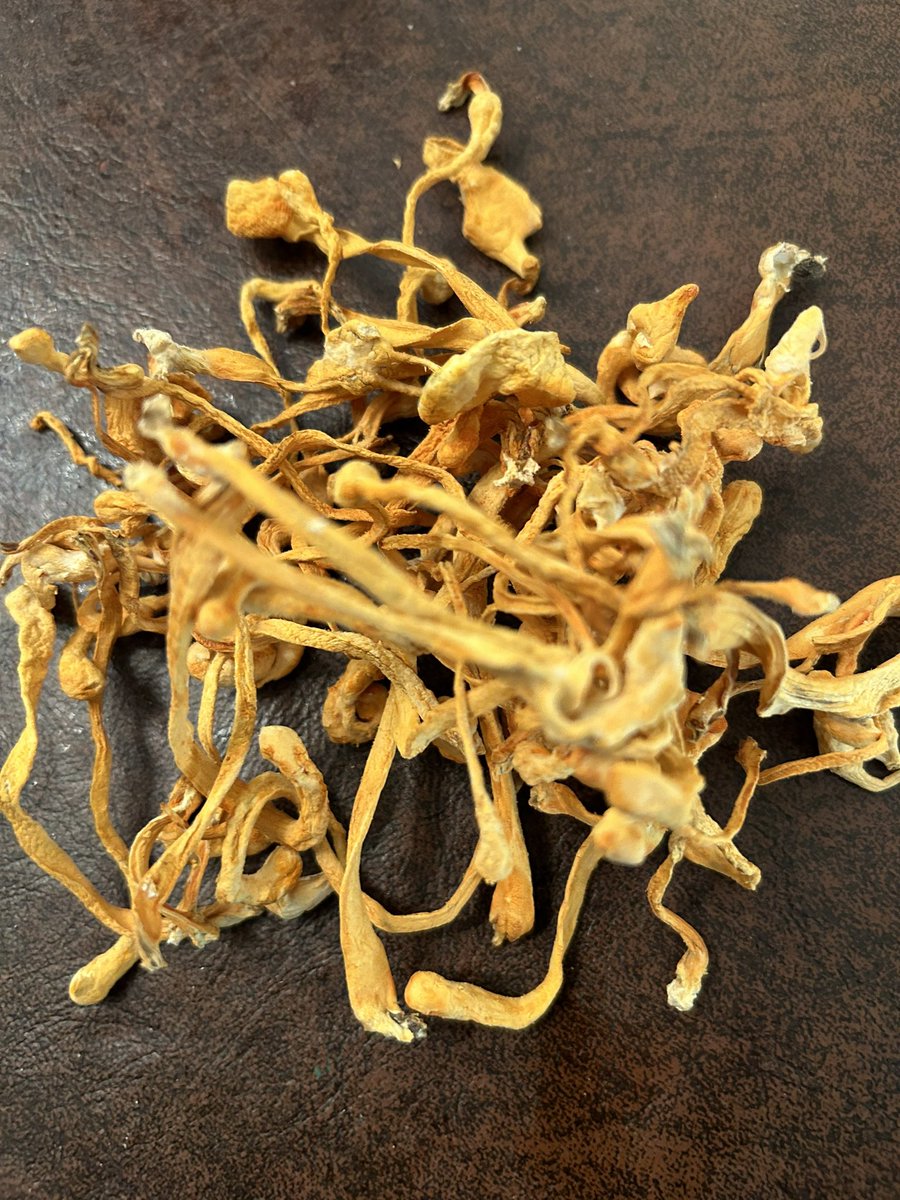 AngelTeacher💉👩‍🦯 Ⓥ ♀ 🏳️‍🌈 🐝 tweet media