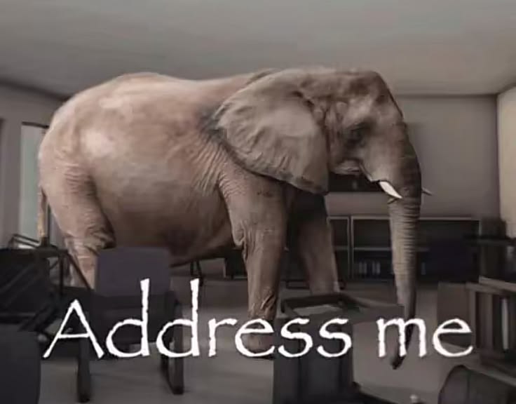 ✿ Lisha✧*。🚦 tweet media